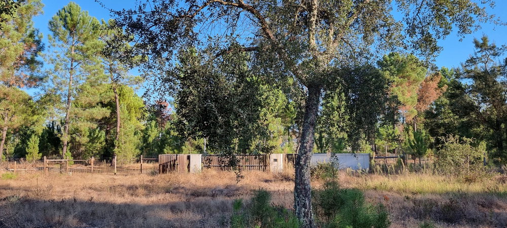Exclusive Quinta Muda Reserve Estate, Comporta