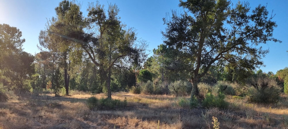 Exclusive Quinta Muda Reserve Estate, Comporta