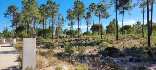 Excellent Investment Opportunity – Aldeia da Muda