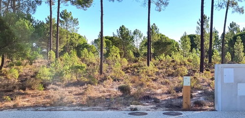 Excellent Investment Opportunity – Aldeia da Muda