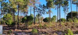 Excellent Investment Opportunity – Aldeia da Muda