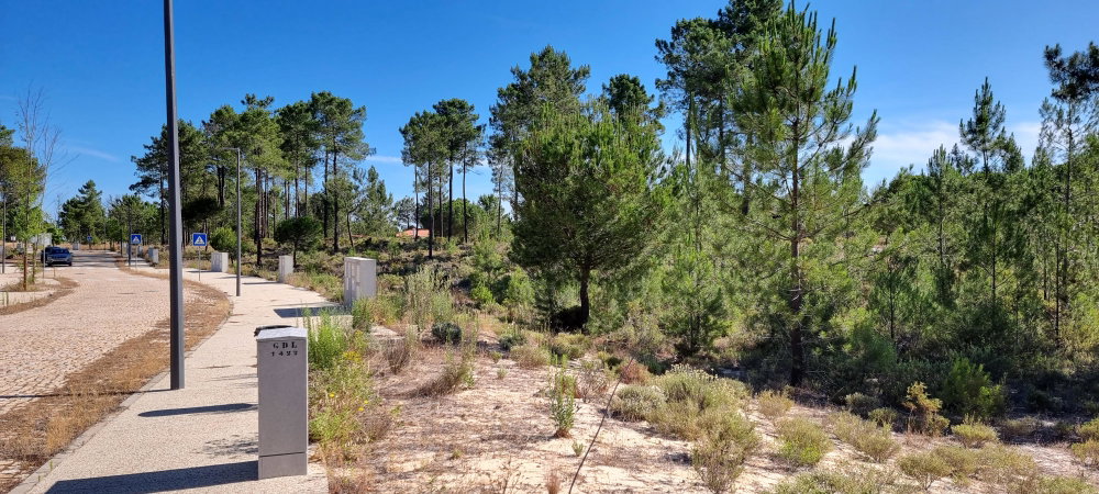 Excellent Investment Opportunity – Aldeia da Muda