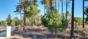 Excellent Investment Opportunity – Aldeia da Muda