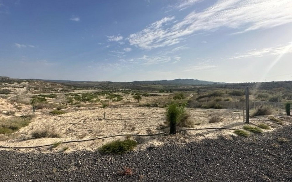 Torremendo Alicante Land 4208211806