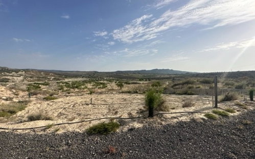 Torremendo Alicante Land 4208211806
