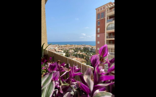 Torrevieja Alicante Apartment 3196796356
