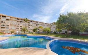 Torrevieja Alicante Apartment 3124338563