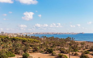 Punta Prima Alicante Apartment 713396840
