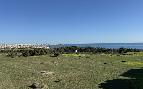 Punta Prima Alicante Apartment 2788161091