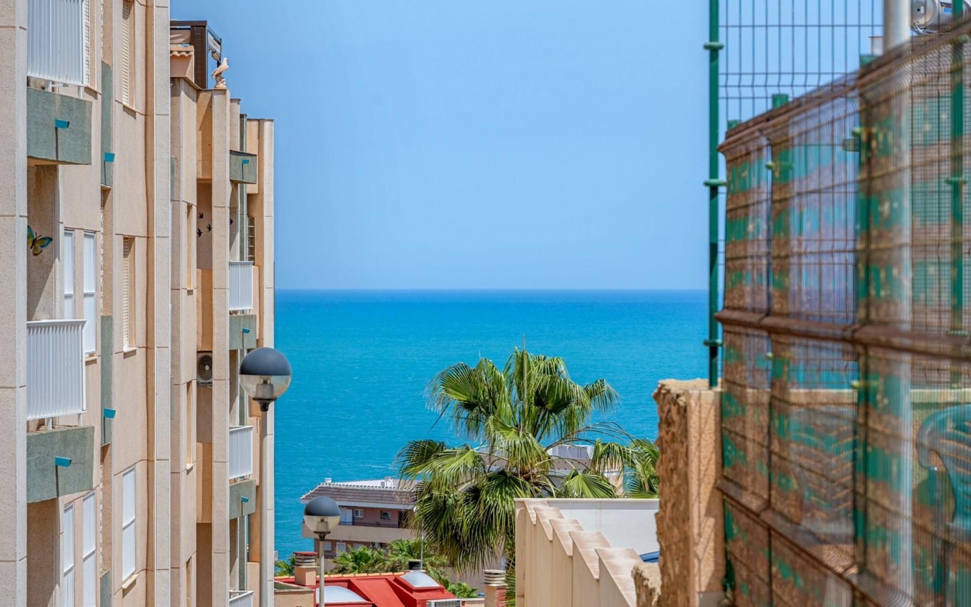 Torrevieja Alicante Apartment