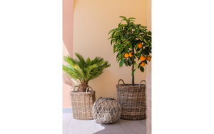 Punta Prima Alicante Townhouse 2794214560