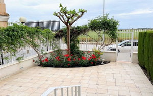 Los Alcazares Murcia Apartment 3981209777