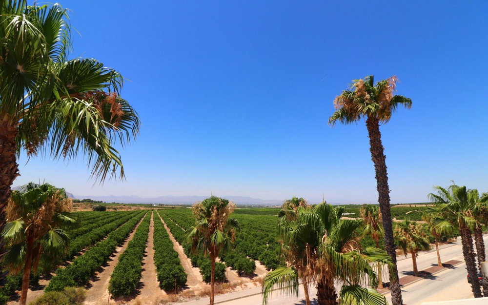 Algorfa Alicante Villa 3735496876