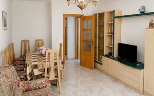 Torrevieja Alicante Apartment 332439336
