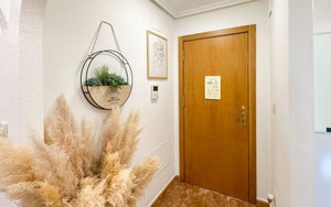 Guardamar Del Segura Alicante Apartment 561648276