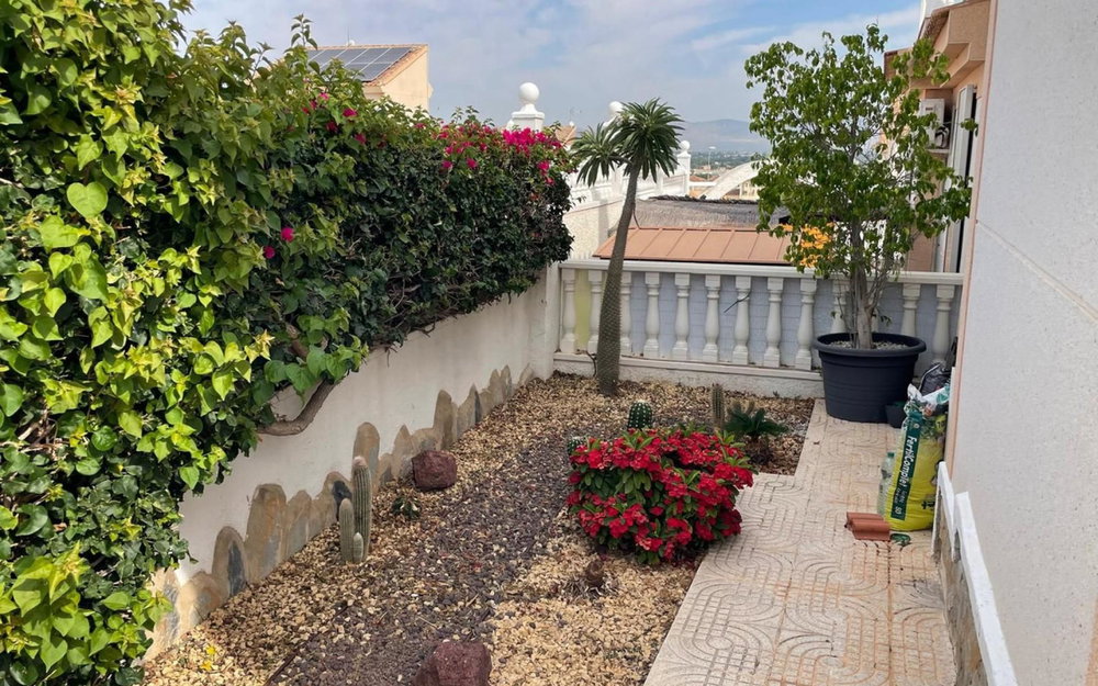 Rojales Alicante Villa 834250742