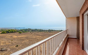 Punta Prima Alicante Apartment 2464915297