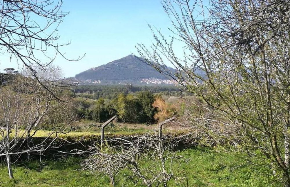 Plot of land with approved project in Moledo