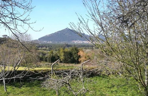 Plot of land with approved project in Moledo