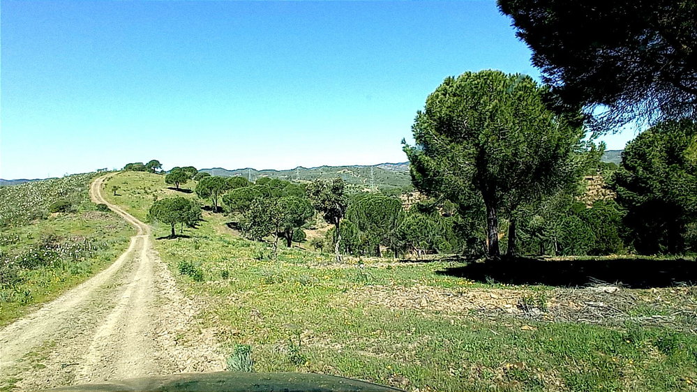Estate with 80 ha, in Silves, Algarve 1436009971