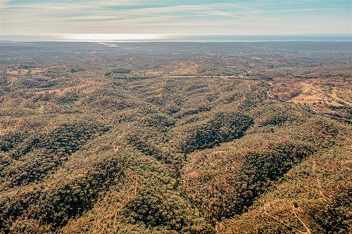 Land with forestry management and profitable, Melides 1575867246