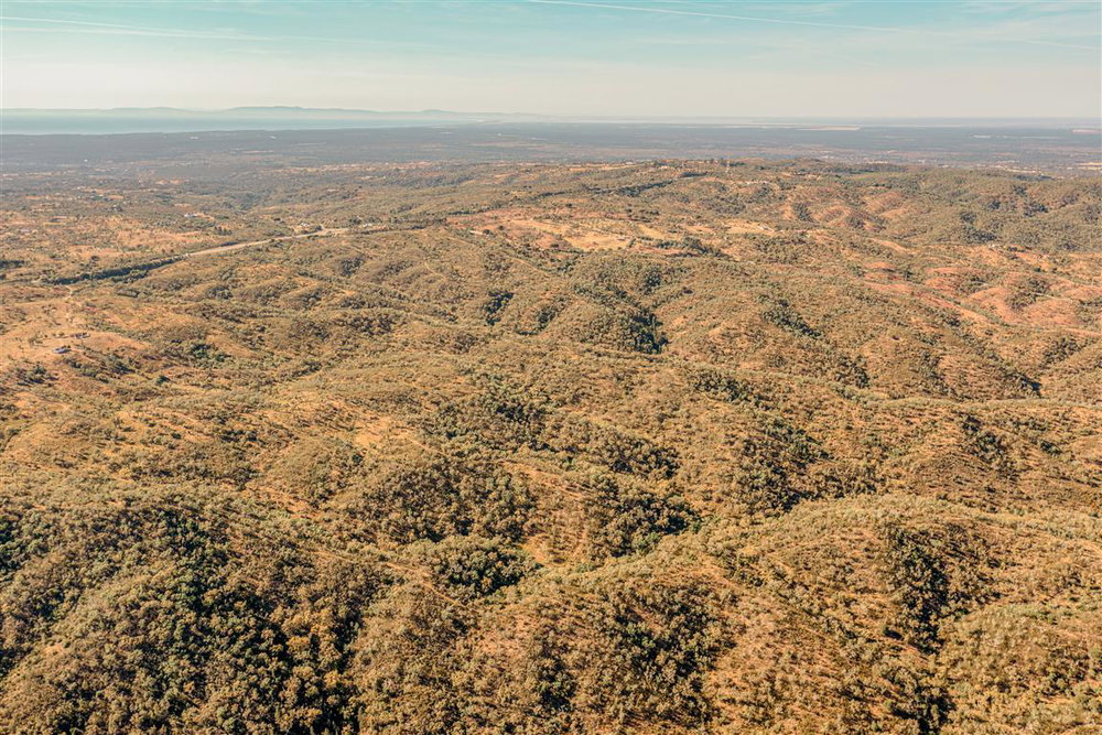 Land with forestry management and profitable, Melides 1575867246
