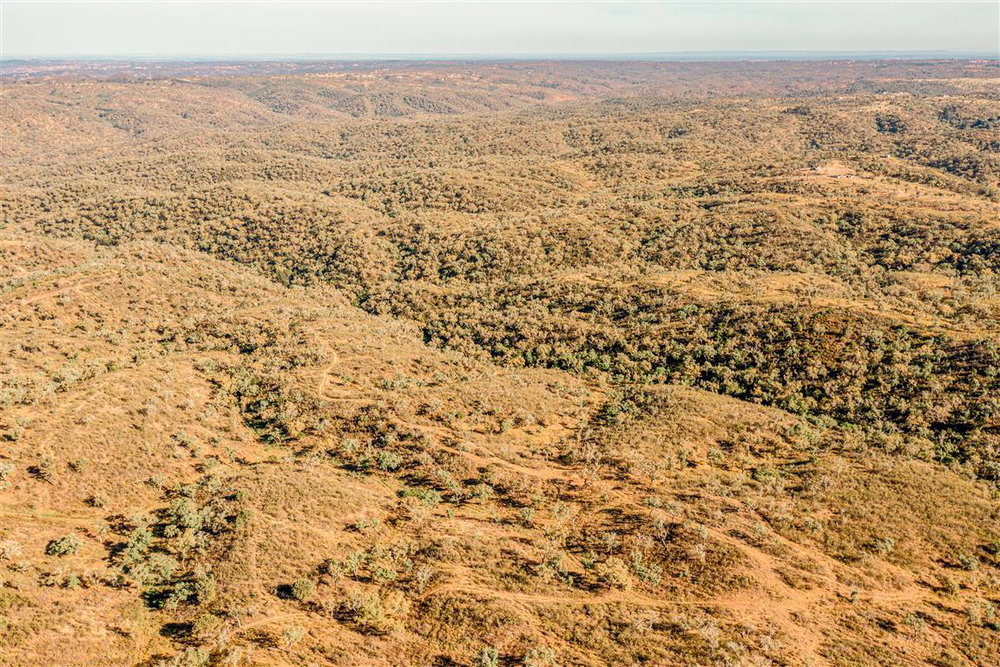 Land with forestry management and profitable, Melides 1575867246