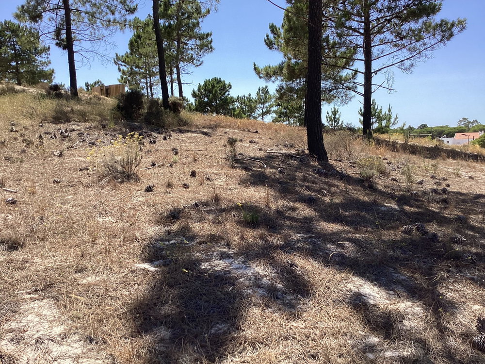 Plot of urban land in Carvalhal, Comporta region 771192906