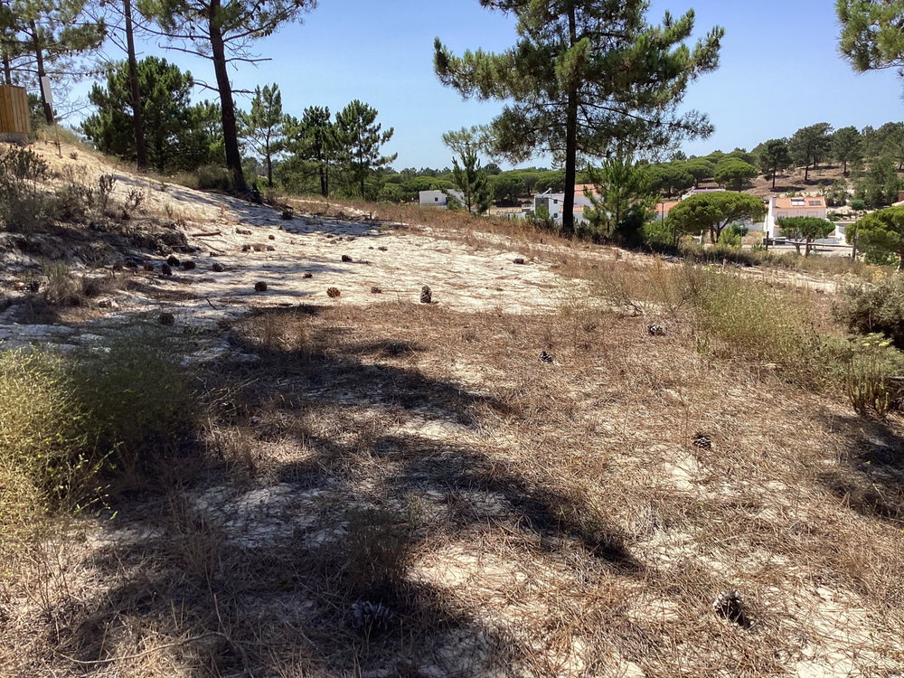 Plot of urban land in Carvalhal, Comporta region 771192906