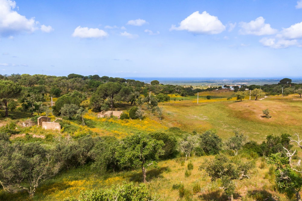 Plot of land with project, with sea view, in Grândola 2772753359