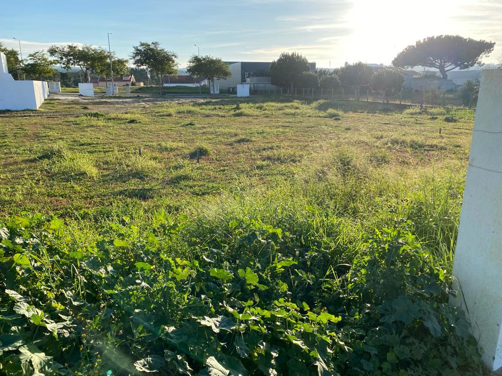 Plot of land with approved project around Melides