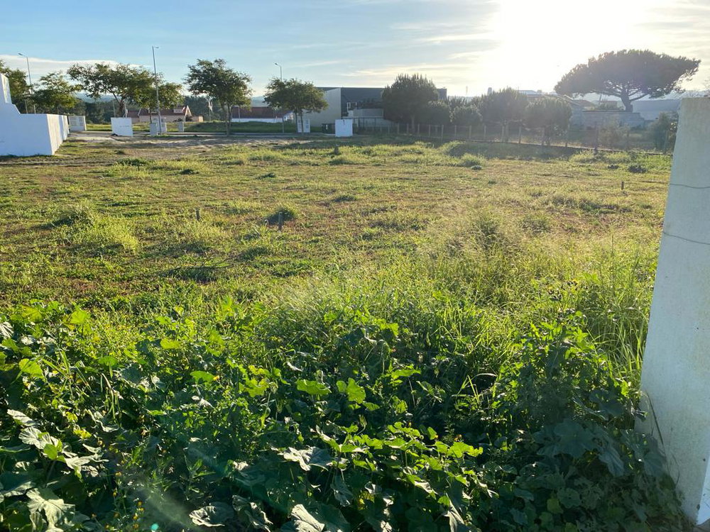 Plot of land with approved project, around Melides 3094487341