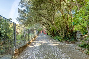 Land for construction in Cascais 476624926