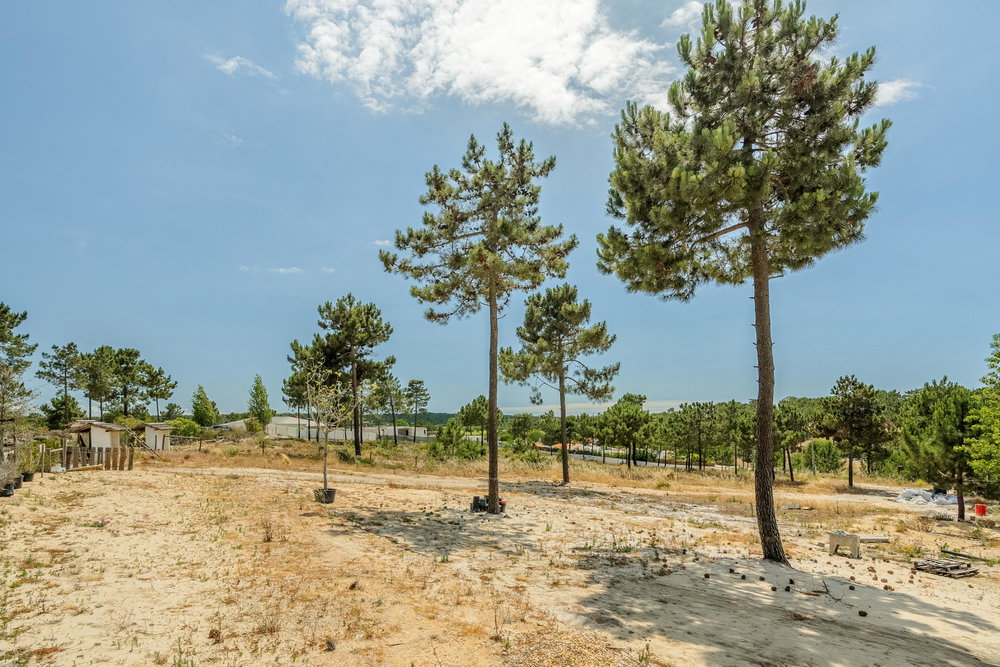 Plot 35, Casas da Colina