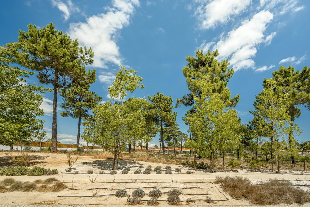 Plot 35, Casas da Colina