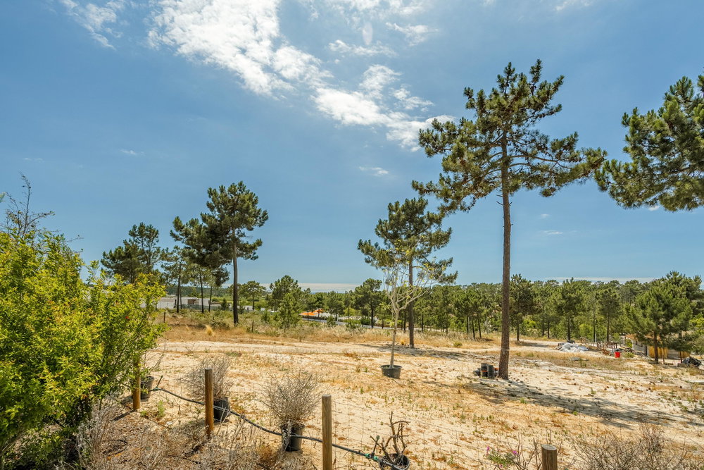Plot 35, Casas da Colina