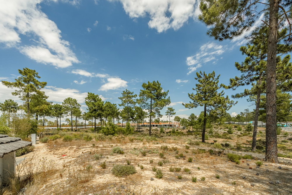 Plot 35, Casas da Colina