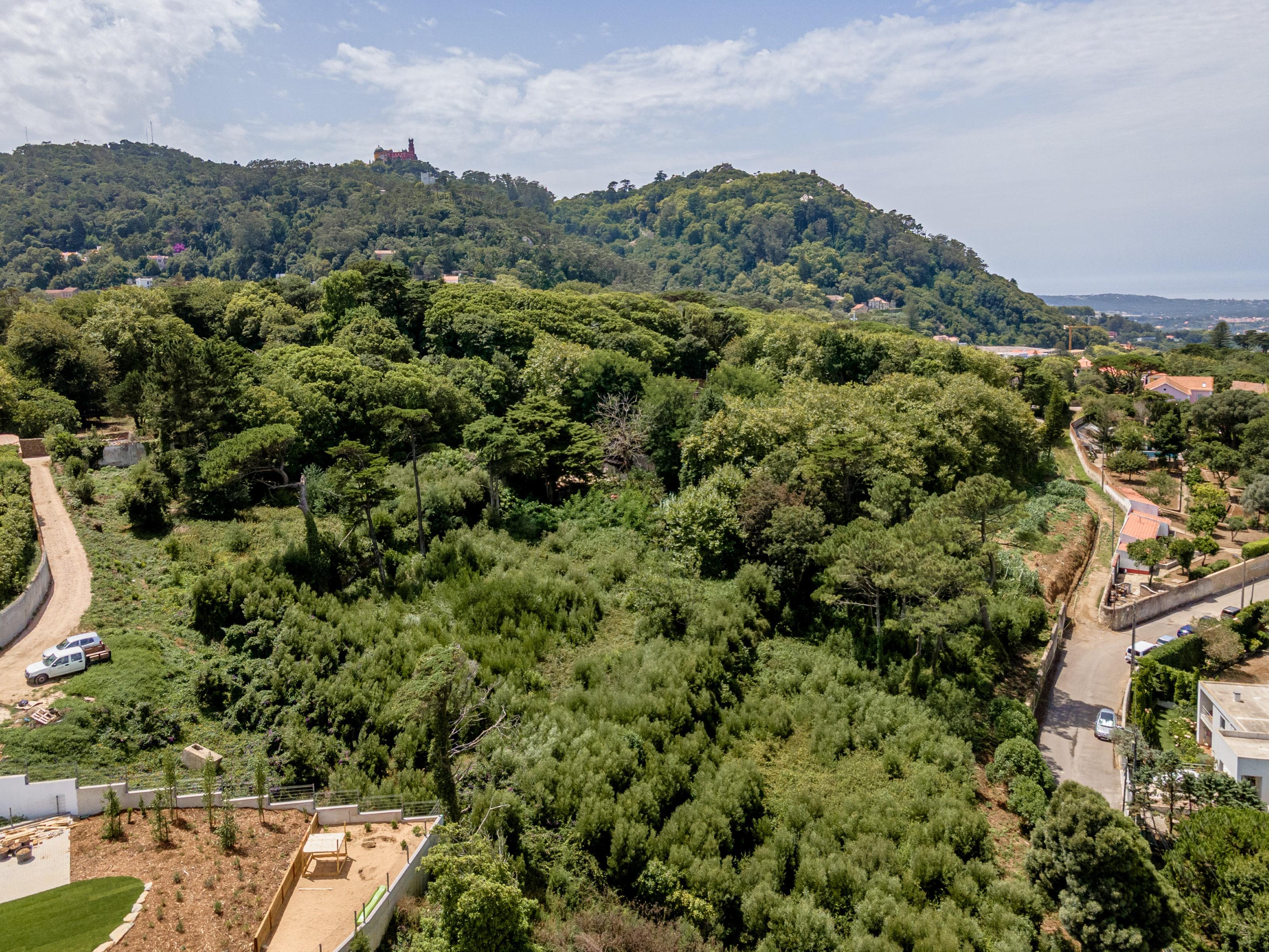 Farmhouse with approved project in S. Pedro de Sintra