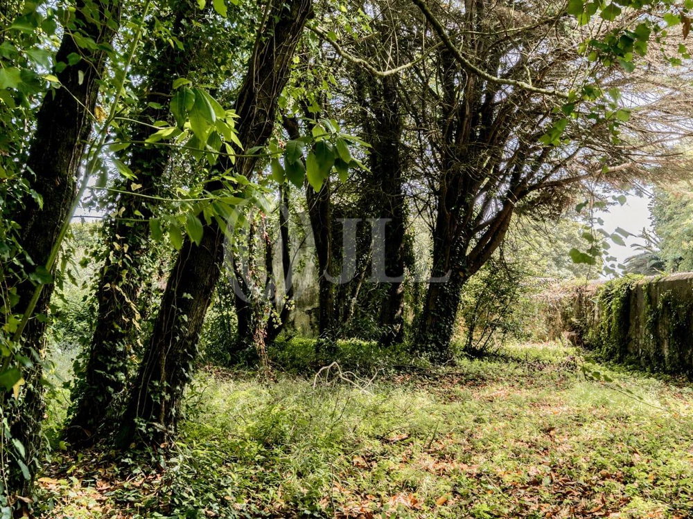 Farmhouse with approved project in S. Pedro de Sintra 1852444172