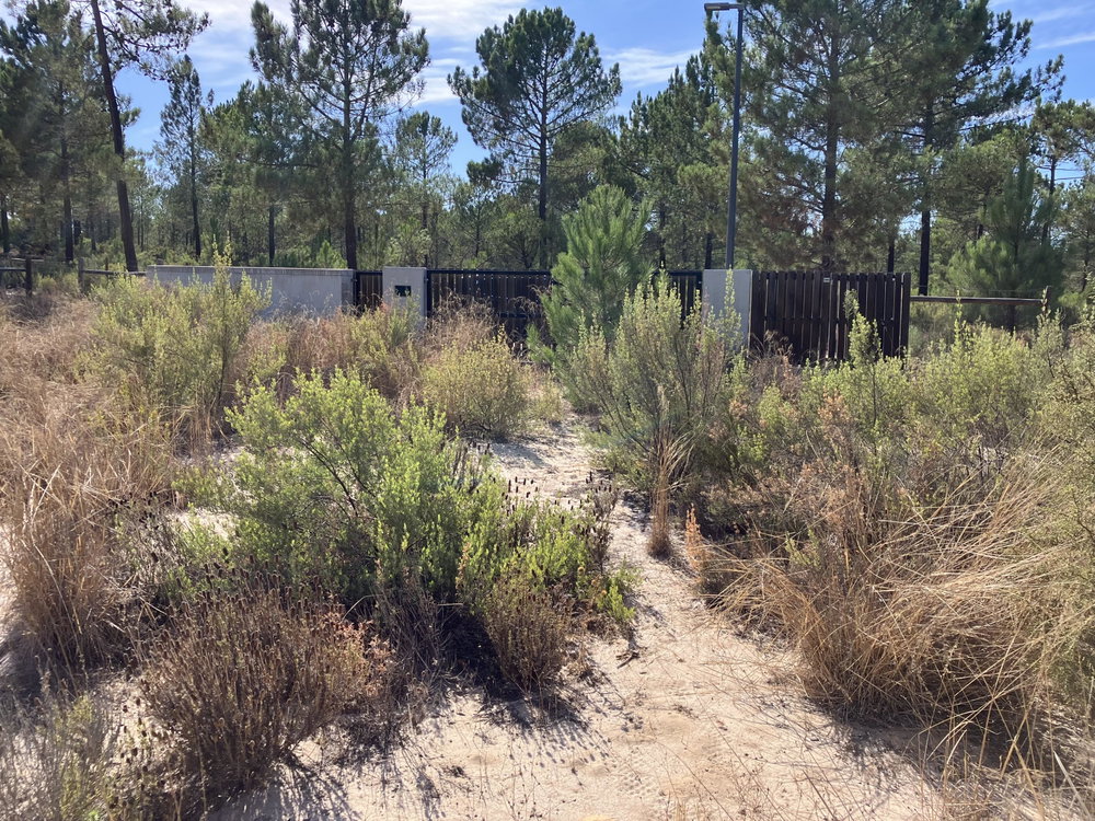Land plot in Muda Reserve, Comporta