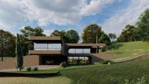 5 bedroom villa with pool and river view, in Resende, Viseu