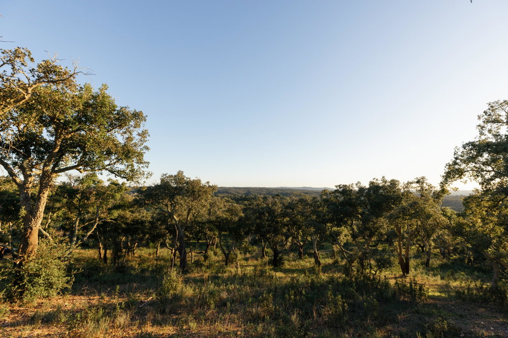Land with sea and mountain views in Santiago do Cacém
