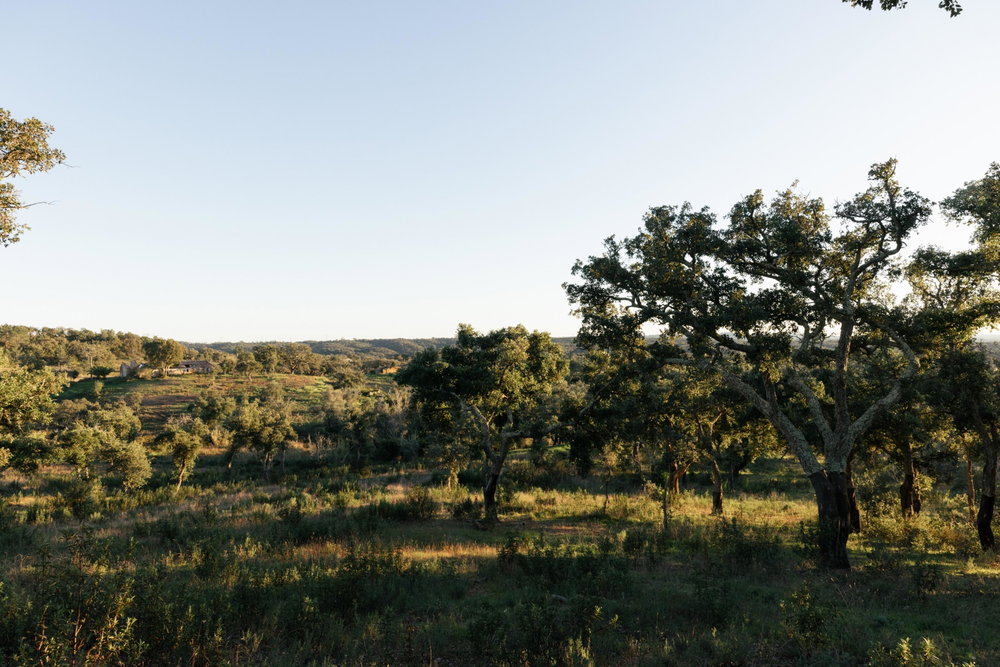 Land with sea and mountain views in Santiago do Cacém