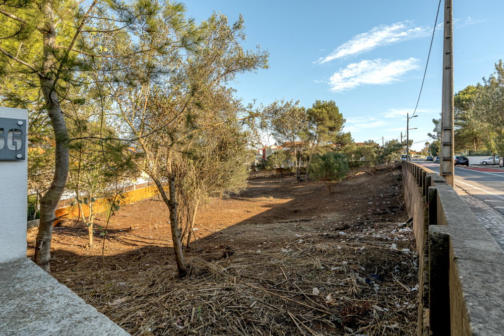 Plot with approved PIP in Birre, Cascais 255503421
