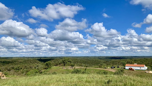 Estate with 52 hectares in the Santiago do Cacém area.