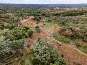 Estate with 52 hectares in the Santiago do Cacém area.