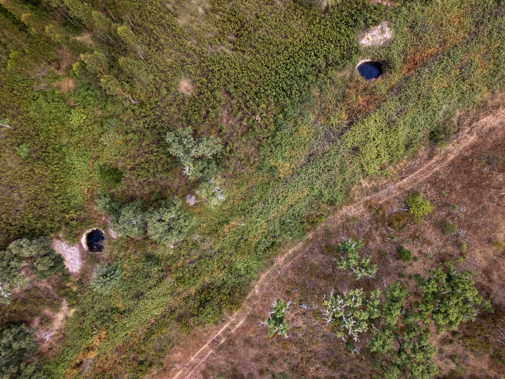 Estate with 52 hectares in the Santiago do Cacém area.
