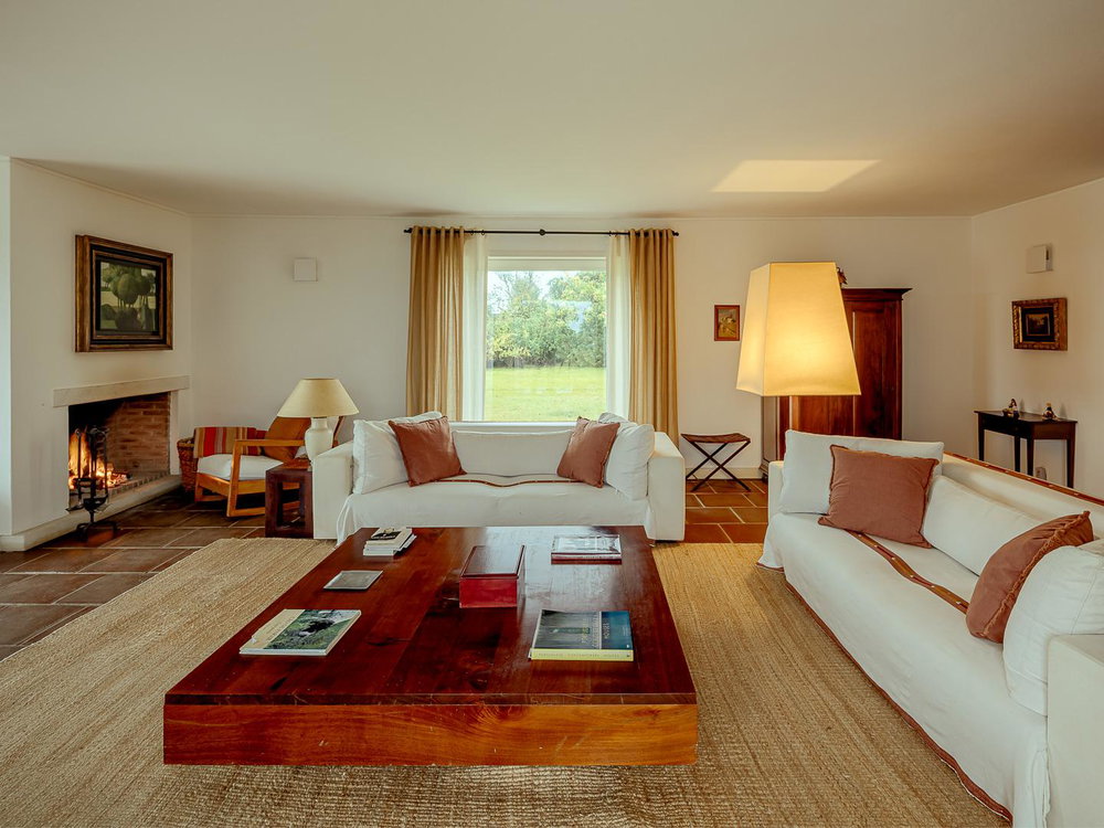 Estate with villa and swimming pool Alcáçovas Alentejo 2146578944