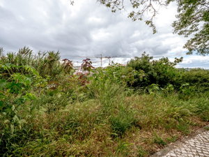 Terreno no Oeiras Golf & Residence, Barcarena, Oeiras 1145993882