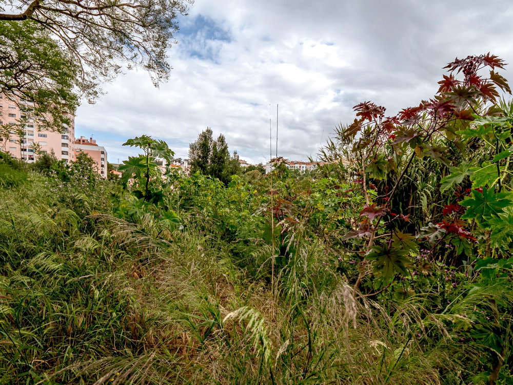 Terreno no Oeiras Golf & Residence, Barcarena, Oeiras 1145993882